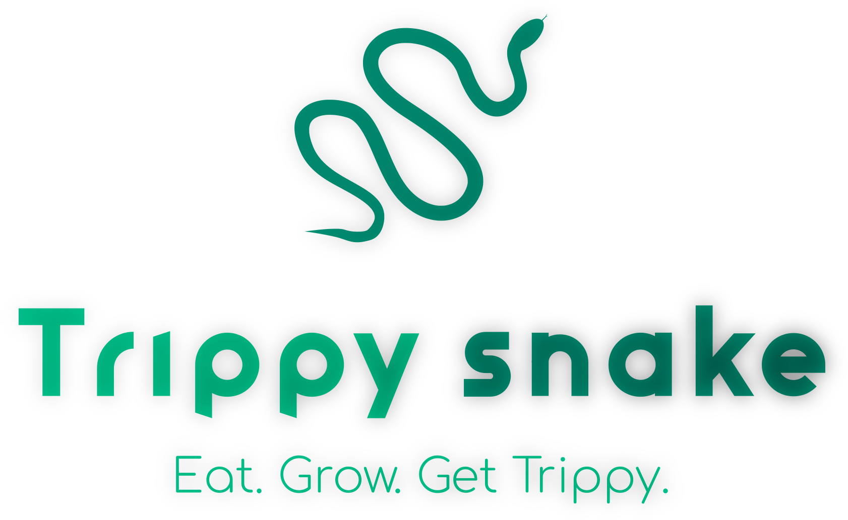 Trippy Snake